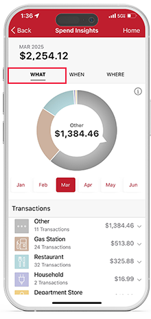 View spending insights