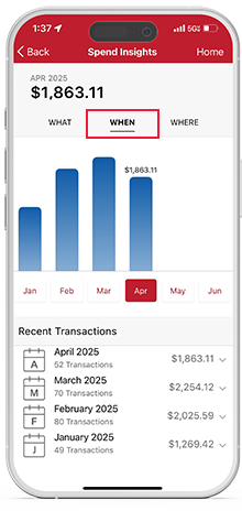 View spending insights