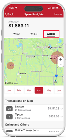View spending insights