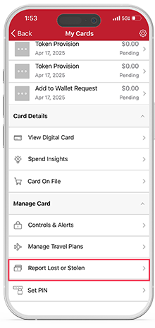 Reporting lost or stolen card