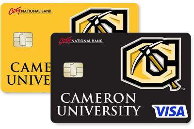 Visa Debit Card